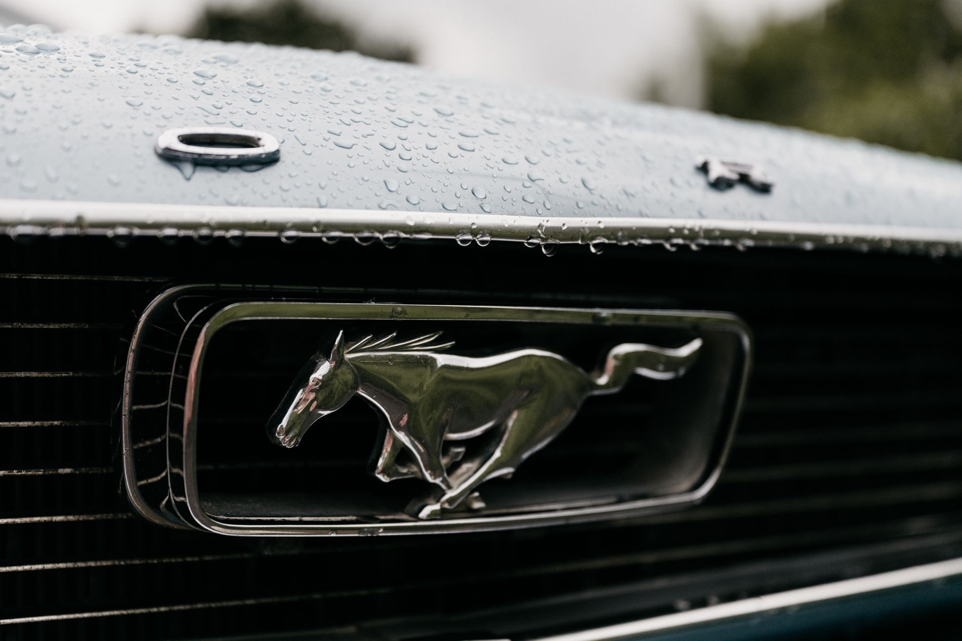 Ford Mustang 1966